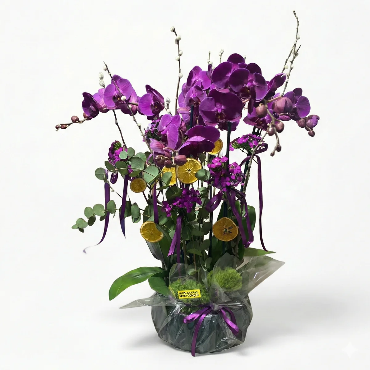 Portakal Dekora Sahip Koyu Mor Orkide - Görsel 1