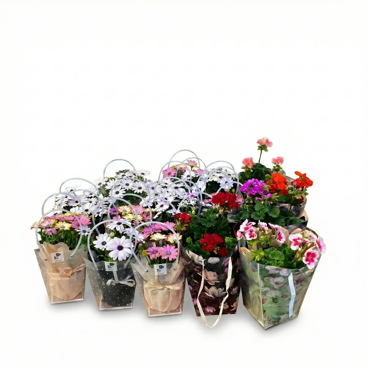 Özel Çantalı Renkli Mevsim Saksıları - Görsel 1