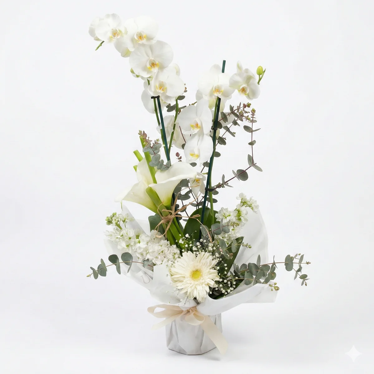 Papatya Süslemeli Lüks Beyaz Orkide - Görsel 1