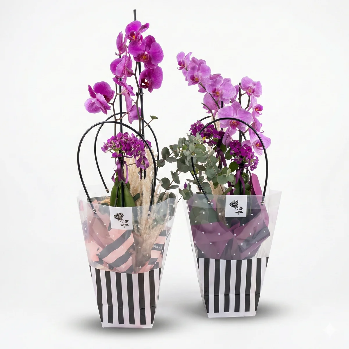 Özel Çantasında Hediyelik Mor Orkide - Görsel 1